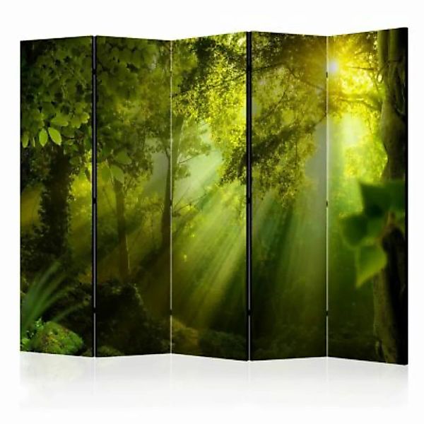 artgeist Paravent In a Secret Forest II II [Room Dividers] grün-kombi Gr. 2 günstig online kaufen