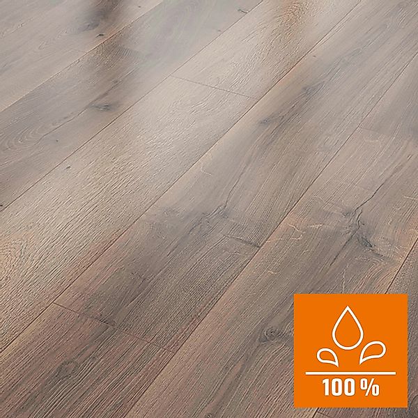 Classen Laminat 8 mm Wasserfest Eiche Braun günstig online kaufen