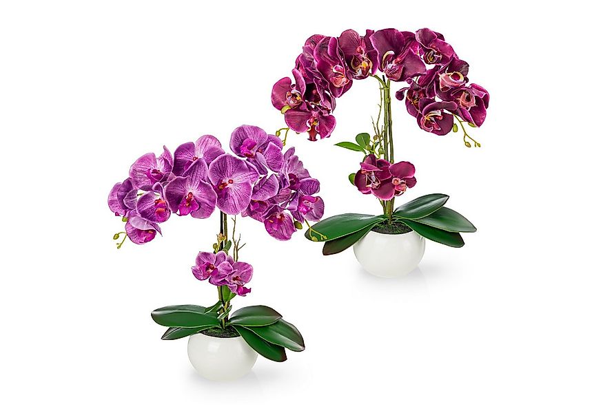 Kunstorchidee PASCH® Orchidee künstlich wie echt (40cm) in Hochglanz-Kerami günstig online kaufen