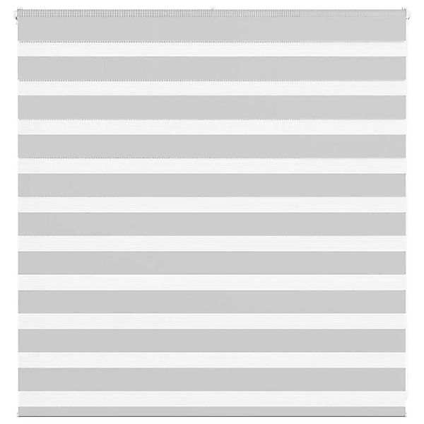 vidaXL Doppelrollo Hellgrau 150x100 cm Stoffbreite 145,9 cm Polyester 40144 günstig online kaufen