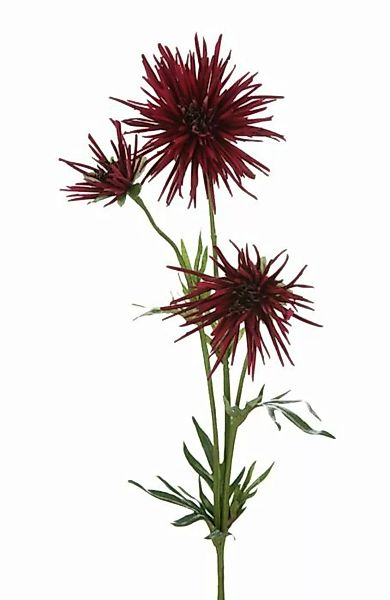 Flower & Style Kunstpflanzen & -blumen Chrysantheme aubergine 73 cm (lila) günstig online kaufen