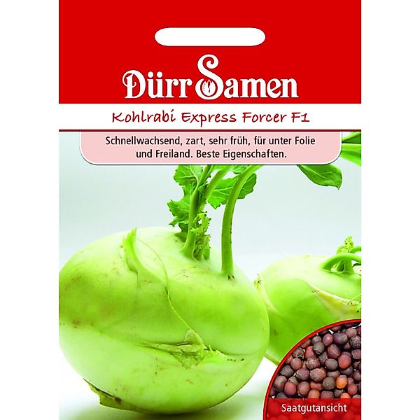 Dürr Samen Kohlrabi Express Forcer F1 Saatgut günstig online kaufen