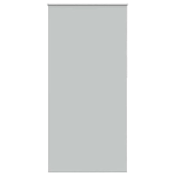 vidaXL Verdunkelungsrollo Hellgrau 100x230 cm Stoffbreite 95,7cm 4011466 günstig online kaufen