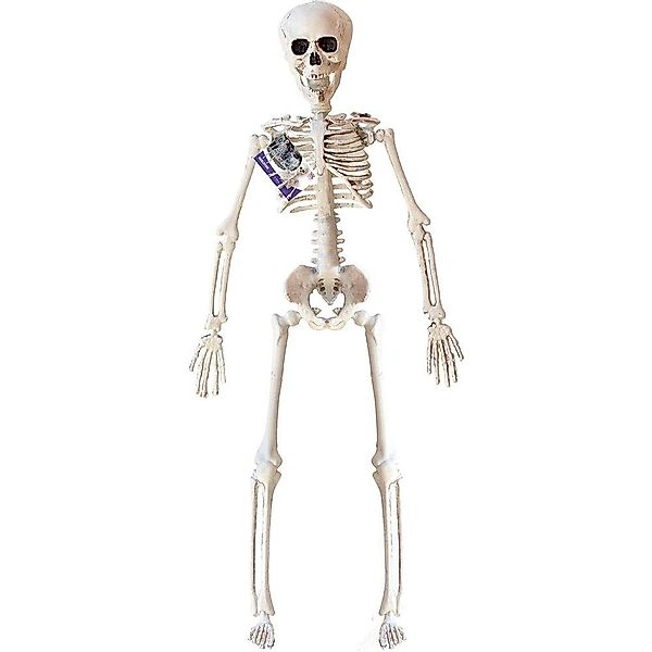 Widmann S.r.l. Dekofigur Skelett 40 cm, günstig online kaufen