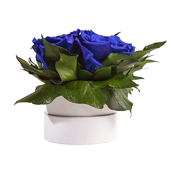 Kunstblume Infinity Rosenbox weiß rund 3 günstig online kaufen