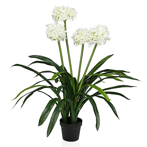 Kunstpflanze Kunstpflanze AGAPANTHUS Kunststoff Lilie, hjh günstig online kaufen