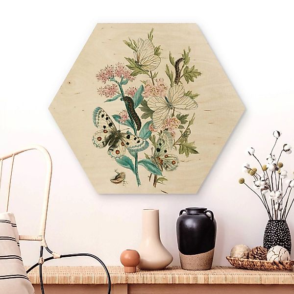 Hexagon-Holzbild Blumen Britische Schmetterlinge I günstig online kaufen