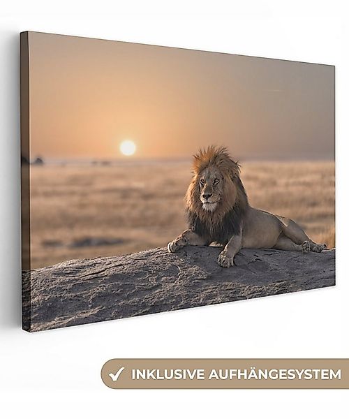 OneMillionCanvasses® Leinwandbild Löwe - Sonne - Afrika, Fotodruck (1 St), günstig online kaufen