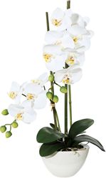 Kunstpflanze Orchidee Orchidee, Creativ green günstig online kaufen