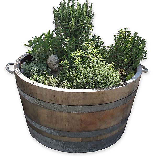 Temesso Pflanzkübel D 70cm - Halbiertes günstig online kaufen