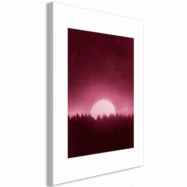 artgeist Wandbild Full Moon (1 Part) Vertical mehrfarbig Gr. 40 x 60 günstig online kaufen