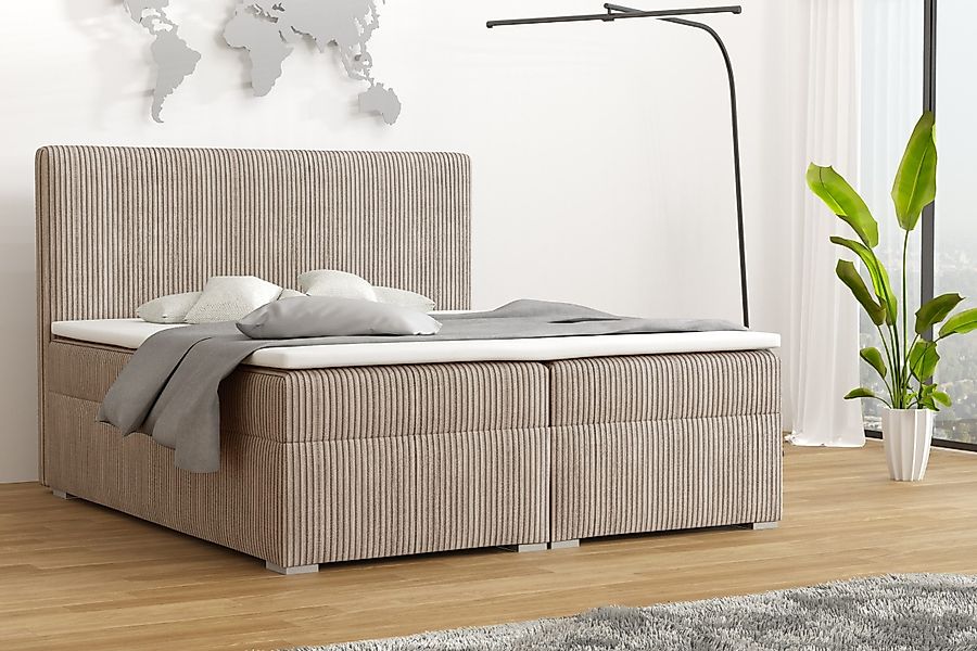 Deine Möbel 24 Boxspringbett LOFT IV günstig online kaufen