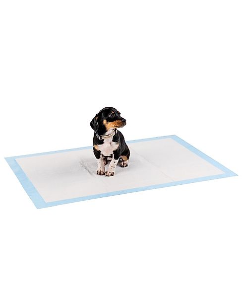 lionto Hundematte lionto Welpenunterlage Hygieneunterlage für günstig online kaufen