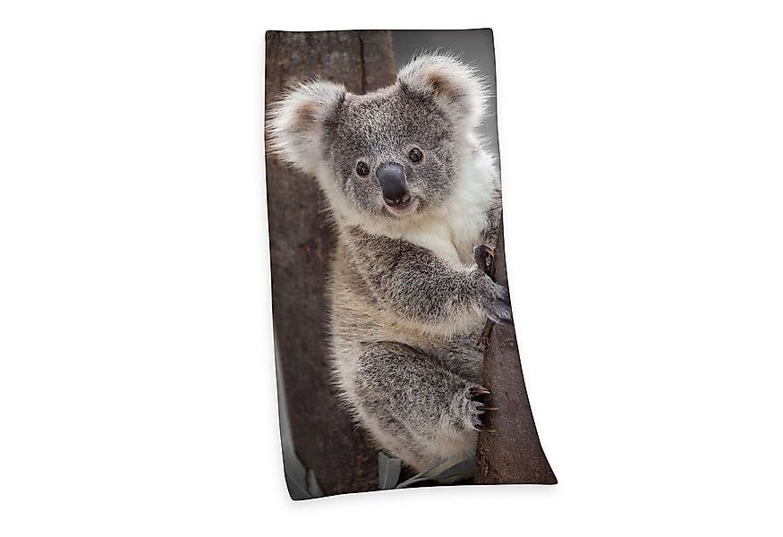 Herding Handtücher Velourstuch Duschtuch Badetuch Strandtuch mit Koala 75 x günstig online kaufen