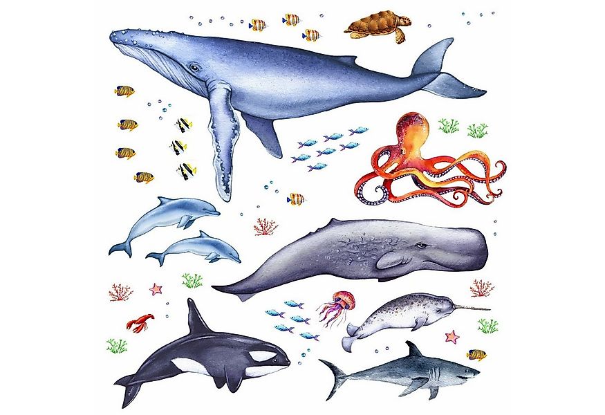 nikima Wandtattoo 166 Wandtattoo Tiere der Meere - 750 x 420 mm (PVC-Folie) günstig online kaufen
