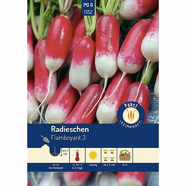 Pabst Keimkraft Radieschen Lang & Zweifarbig Flamboyant 3 Saatgut günstig online kaufen