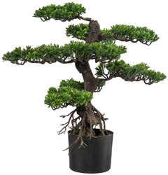 Kunstbonsai Bonsai Bonsai, Creativ green, Höhe günstig online kaufen