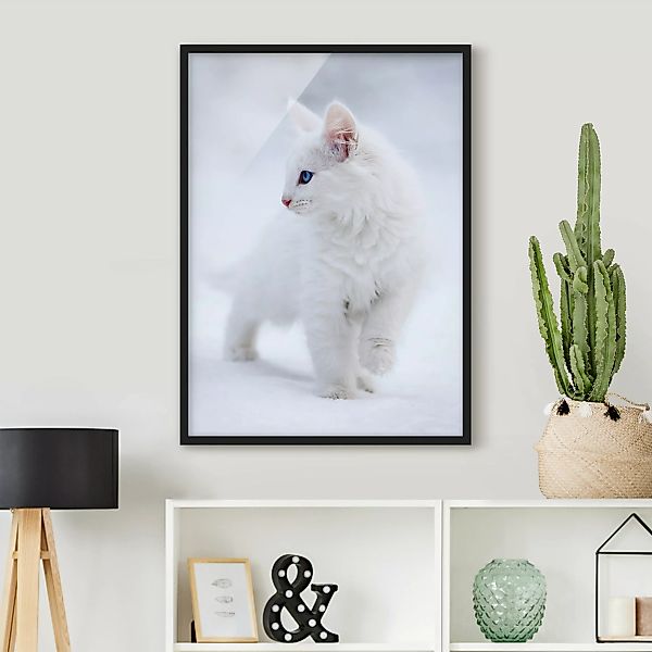 Bild mit Rahmen Tiere - Hochformat Weiß wie Schnee günstig online kaufen