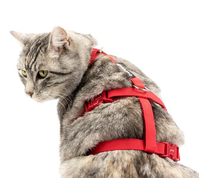 Beroni Sicherheitsgeschirr Katzengeschirr Safety Harness Classic günstig online kaufen