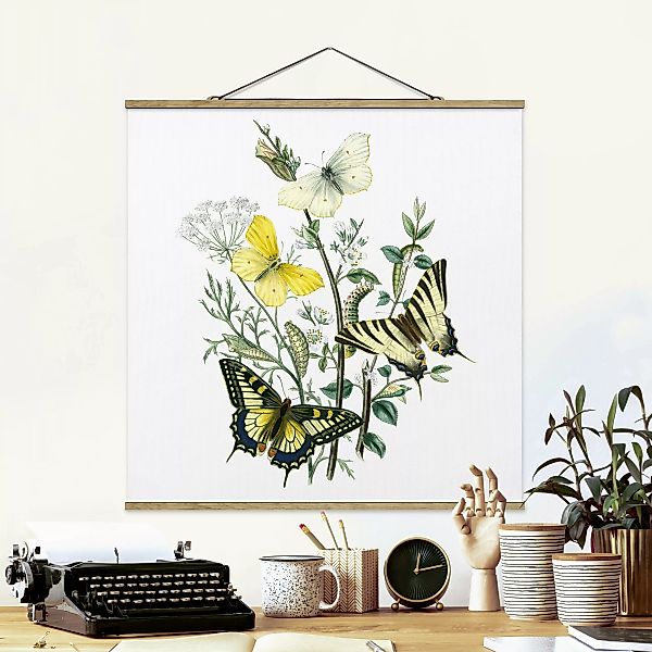 Stoffbild Blumen mit Posterleisten - Quadrat Britische Schmetterlinge III günstig online kaufen