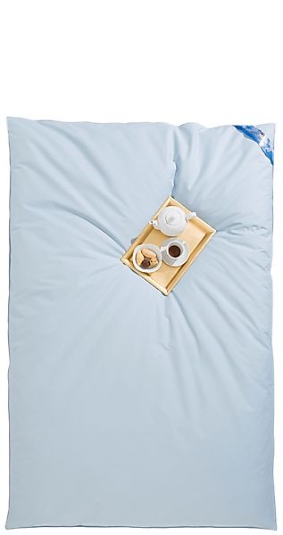 RIBECO Federbettdecke "Leon, Ballonbettdecke 135x200 & 155x220 cm" extrawar günstig online kaufen