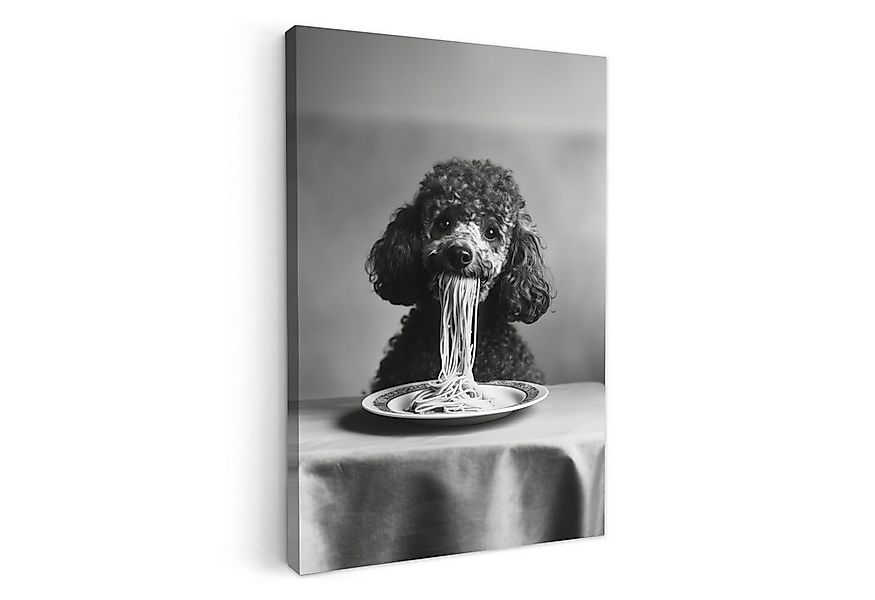 OneMillionCanvasses® Leinwandbild Pudel - Hund - Schwarz - Weiß - Niedlich günstig online kaufen