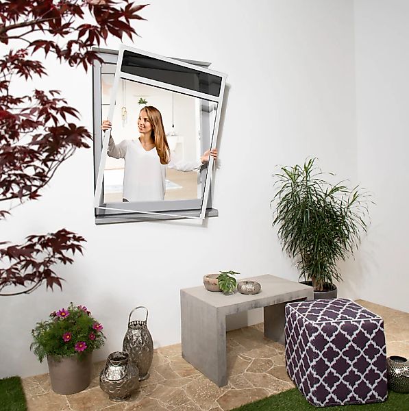 Windhager Insektenschutzrollo transparent Hitzeschutz  Insektenschutz BxH: günstig online kaufen