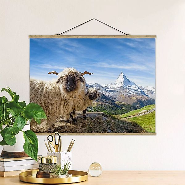 Stoffbild mit Posterleisten Schwarznasenschafe von Zermatt günstig online kaufen