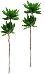 Kunstpflanze Sukkulentenzweig, I.GE.A., Höhe 62 cm, günstig online kaufen