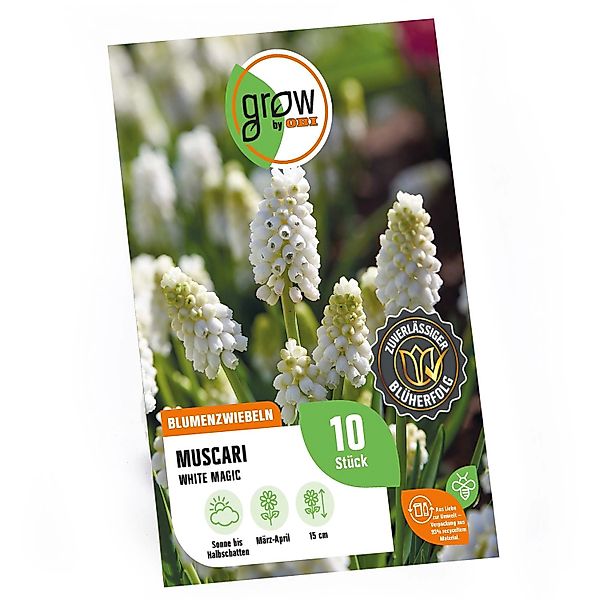 GROW by OBI Traubenhyazinthe White Magic Weiß 10 Stück Muscari White Magic günstig online kaufen
