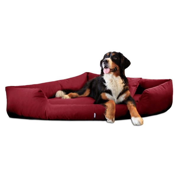 tierlando® Tierbett TRIVIA, Orthopädisches Eckhundebett Polyester günstig online kaufen