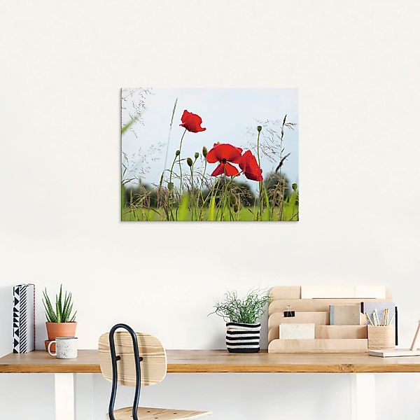 Artland Glasbild »Mohnblumen I«, Blumen, (1 St.), in verschiedenen Größen günstig online kaufen