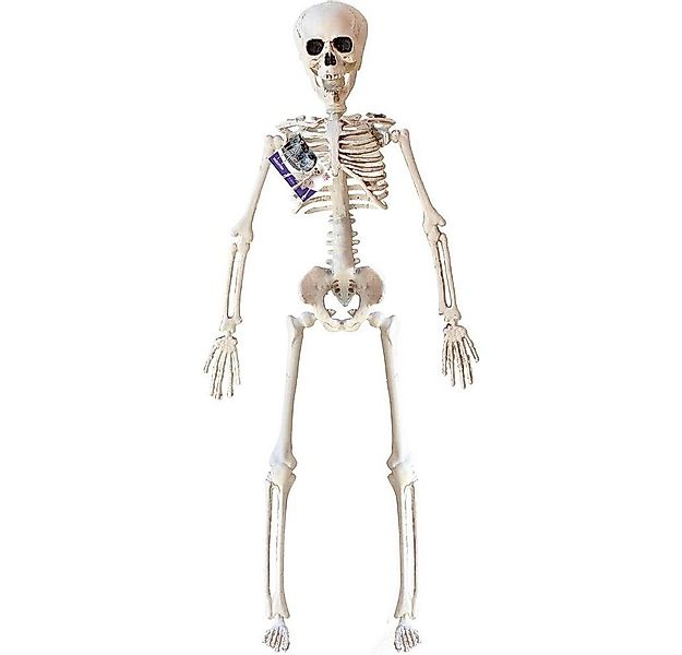 Widmann S.r.l. Dekofigur Skelett 40 cm, Halloween Gruselskelett Knochenmann günstig online kaufen