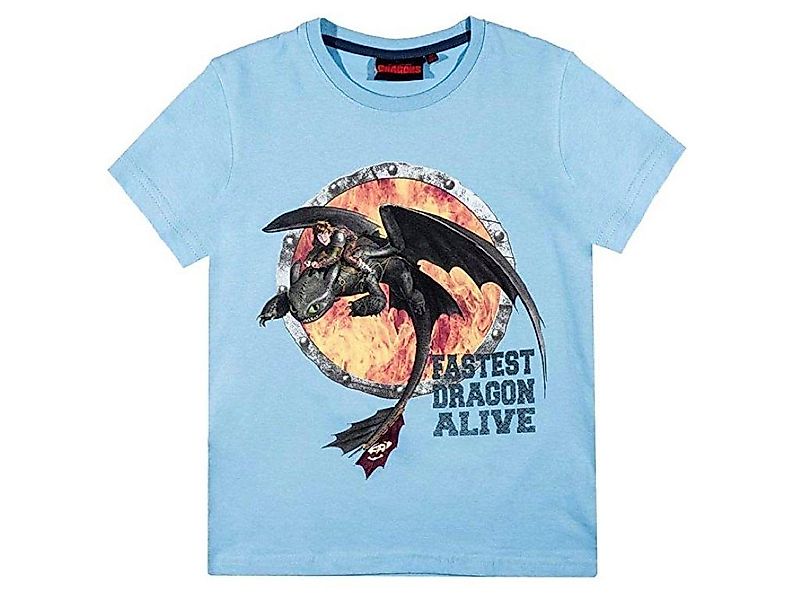 Dragons T-Shirt Dragons "Drachenzähmen leicht gemacht" günstig online kaufen