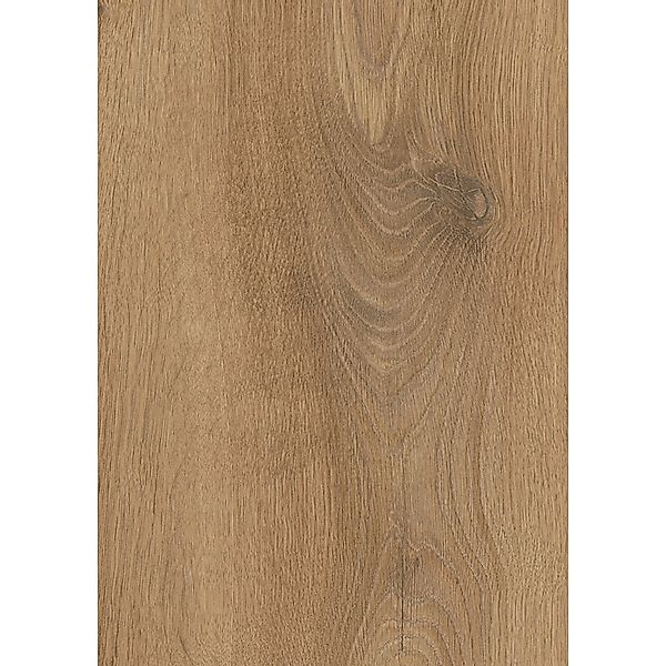 Krono Original Atlantic 10 Laminat 10 mm Historic Oak günstig online kaufen
