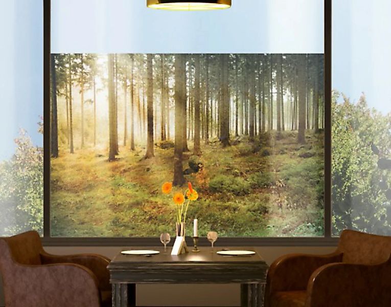 Fensterfolie Morning Forest günstig online kaufen
