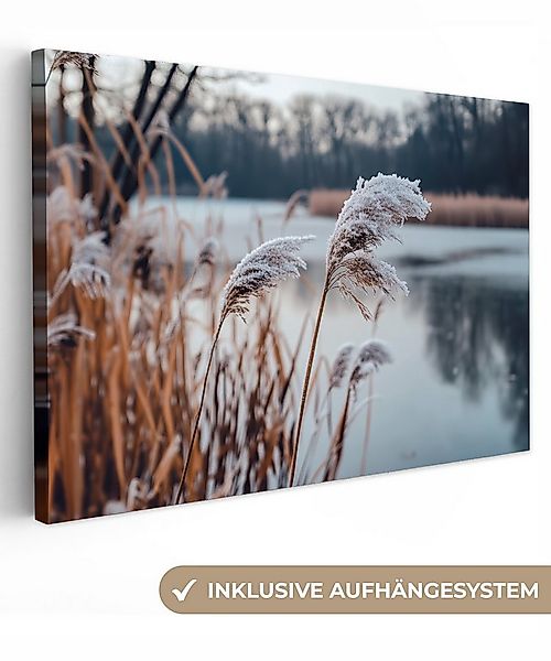 OneMillionCanvasses® Leinwandbild Schilf - Gras - Natur - Winter - See, Fot günstig online kaufen