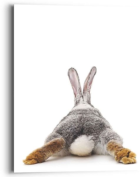 Reinders! Wandbild Wandbild Kaninchen Rabbit - günstig online kaufen