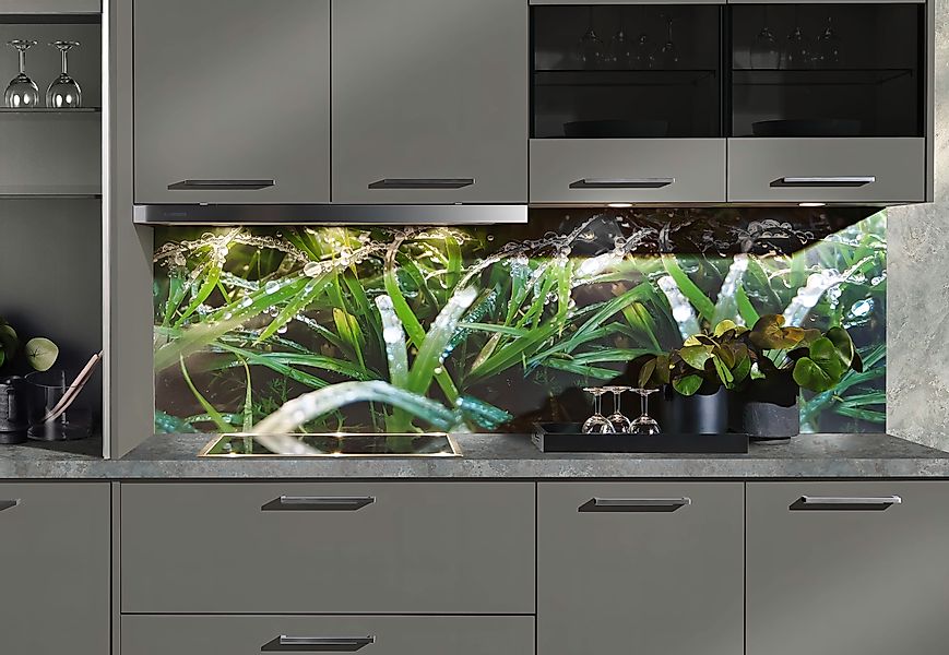 Express Küchen Küchenrückwand »"Regenwald", als Spritzschutz geeignet, mit günstig online kaufen