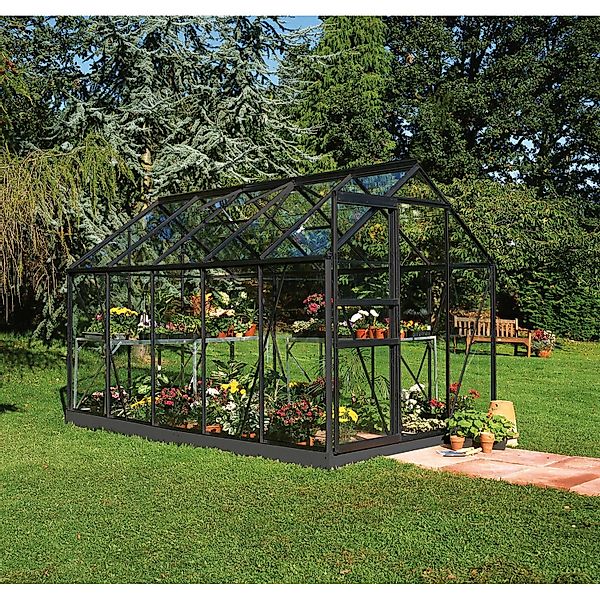 Halls Gewächshaus Popular Set Popular 106 Schwarz 6,2 m² inkl. Fundamentrah günstig online kaufen