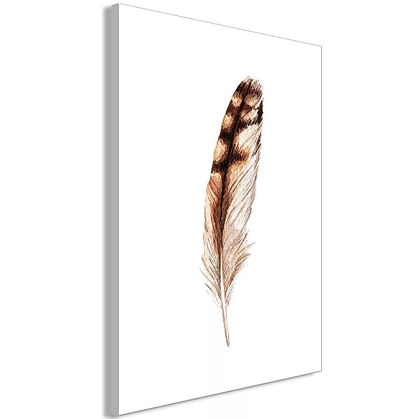 Wandbild - Magic Feather (1 Part) Vertical günstig online kaufen
