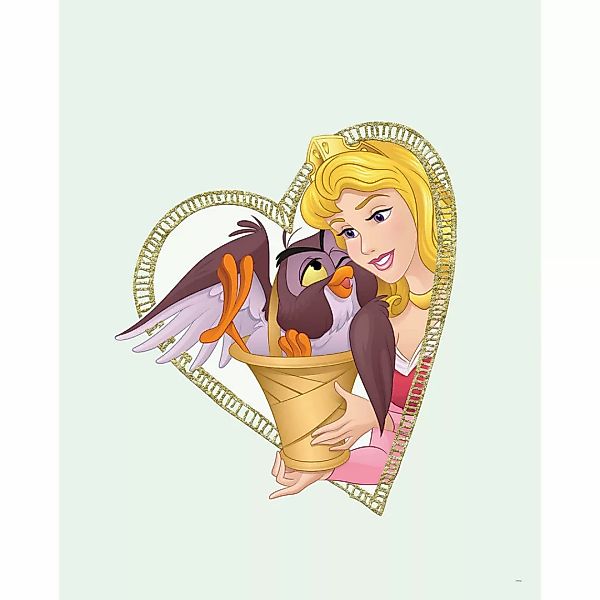 Komar Poster Aurora & Owl Disney B/L: ca. 40x50 cm günstig online kaufen