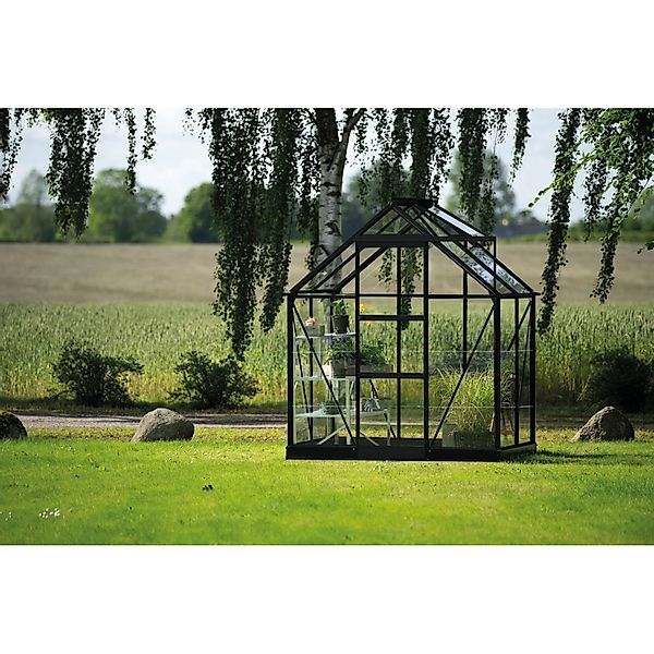 Halls Gewächshaus Icon 6 Schwarz 2,5 m² günstig online kaufen