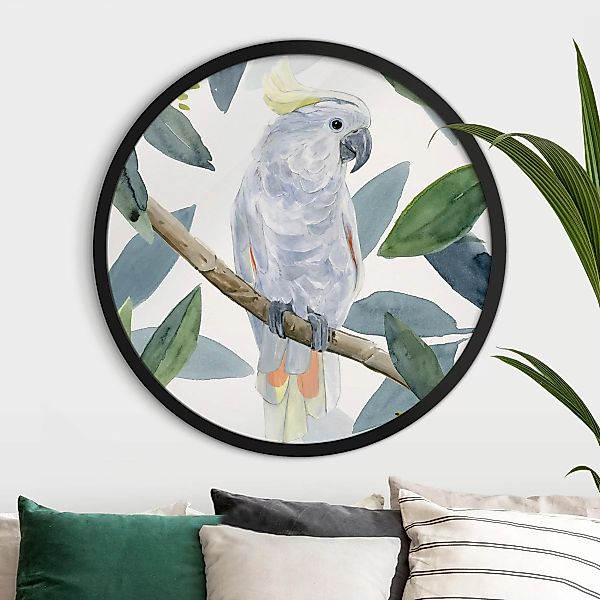 Rundes Gerahmtes Bild Tropischer Kakadu II günstig online kaufen