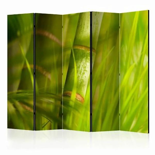 artgeist Paravent bamboo - nature zen II [Room Dividers] mehrfarbig Gr. 225 günstig online kaufen