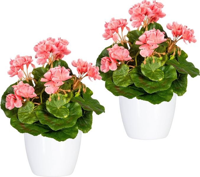 Home affaire Kunstpflanze "Havel" im Topf, 2er Set günstig online kaufen