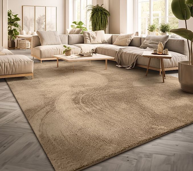 TT Home Teppich, Rechteckig, Höhe: 14 günstig online kaufen