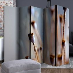 Landhaus Paravent mit Mohnkapsel Motiv Leinwand günstig online kaufen