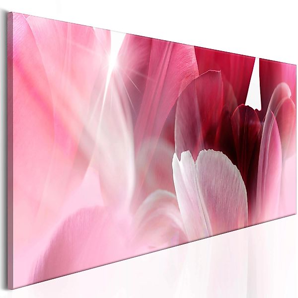 Wandbild - Flowers: Pink Tulips günstig online kaufen