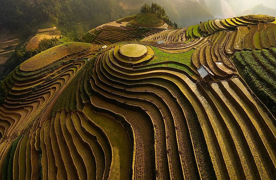 Papermoon Fototapete »ĐAO TẤN PHAT, MU CANG CHAI - VIETNAM«, Vliestapete, h günstig online kaufen